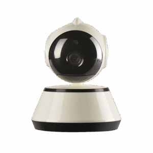 Donec ullamcorper turpis