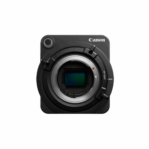 Aenean non pellentesque mauris